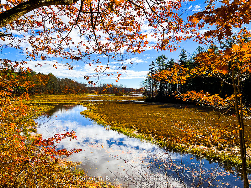 New England fall foliage