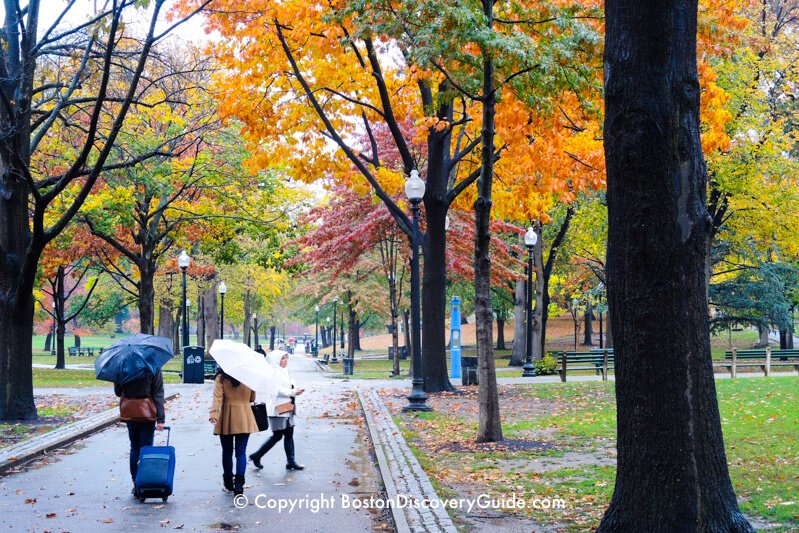 Boston Common on a rainy November afternoon Boston Common on a rainy November afternoon