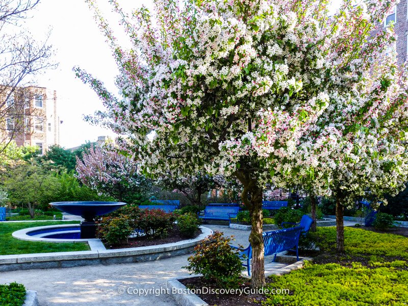 Boston's Ramler Park in early May