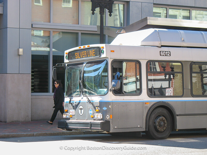 Silver Line bust