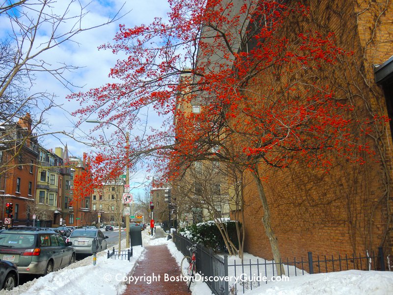 Winter walking tour of Boston: Berkeley Street