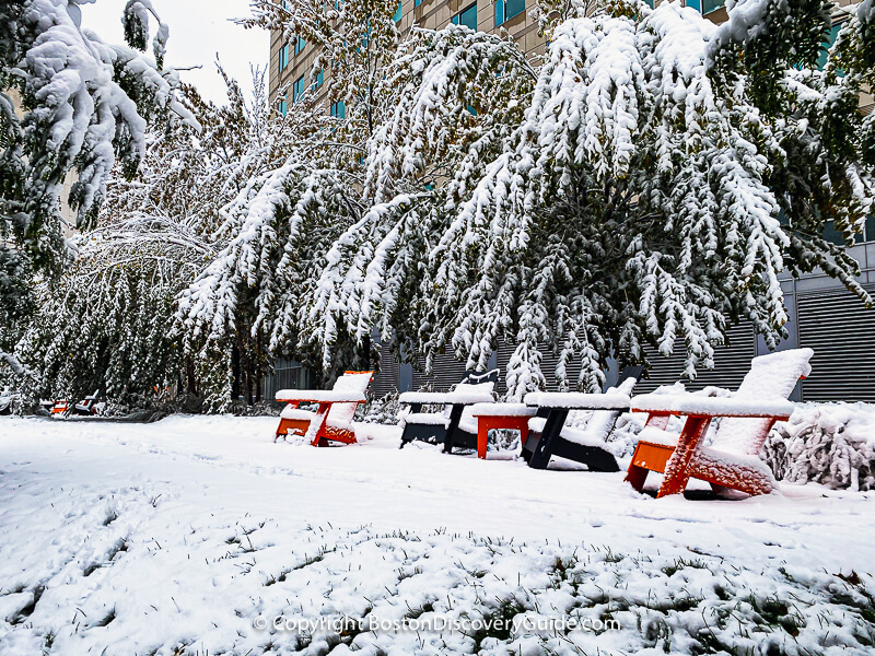 The aftermath of a surprise Halloween snowstorm in Boston