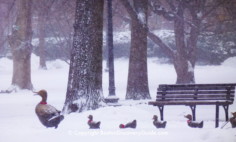 Winter walking tour of Boston: Make Way for Ducklings statues