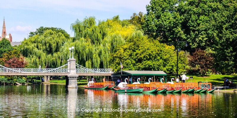 Swan boats in October, right before being disassembled for winter