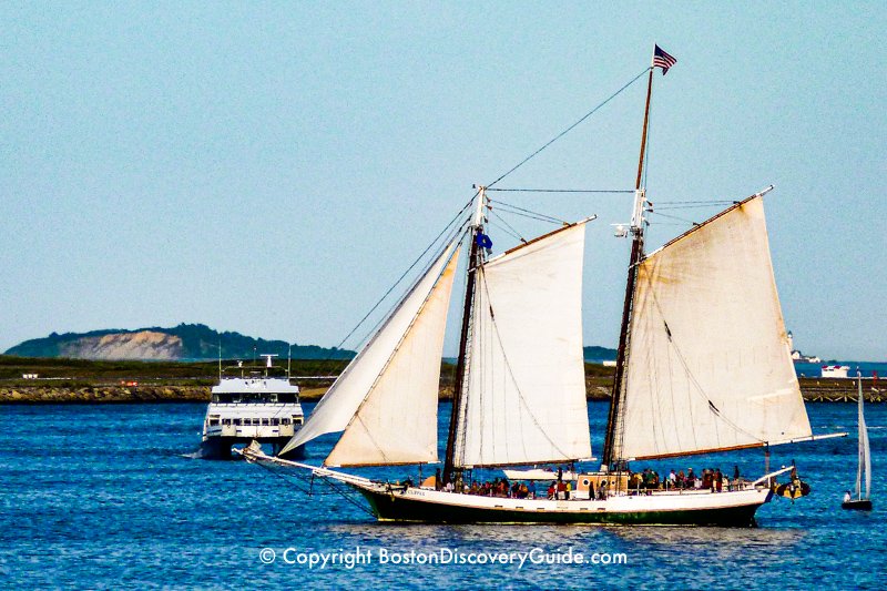 Provincetown Beach Scene