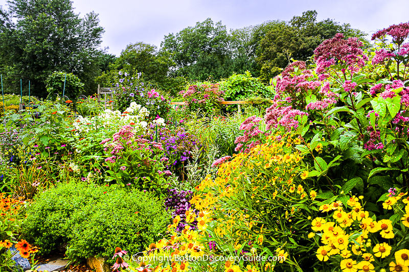 Japanese-style garden in the Victory Gardens 