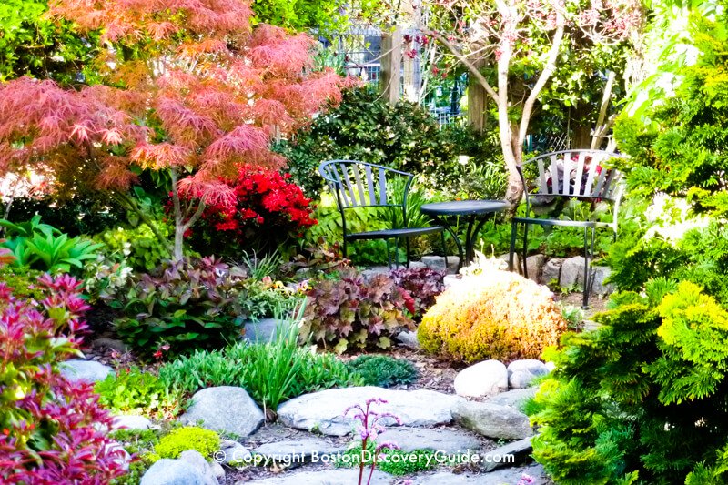 Colorful plot in Boston's Victory Gardens