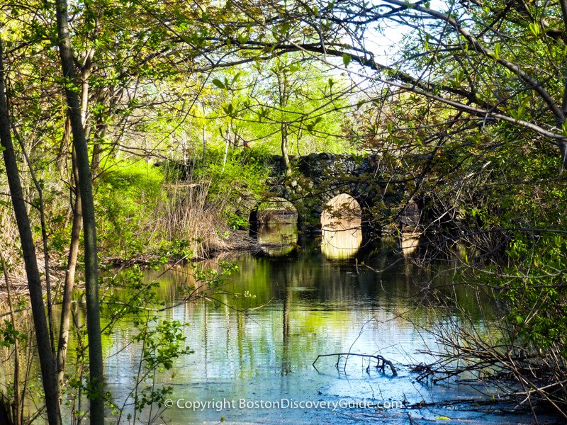 The Agassiz Road Bridge across Muddy River