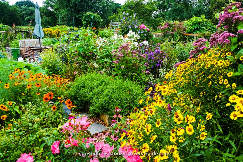 
This garden, which seems to be a double-sized plot, contains masses of flowers, a stone walk, and patio seating complete with an umbrella