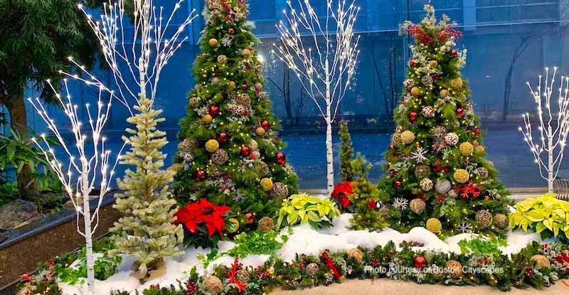 Holiday greenery from Cityscapes Holiday greenery from Cityscapes