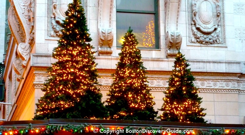 Christmas trees in Boston's Downtown Crossing 