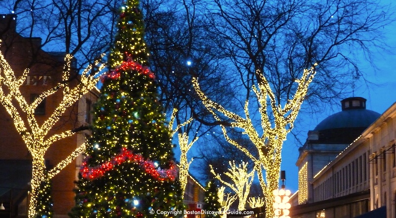 shows christmas in boston blink holiday lights and christmas tree in faneuil hall marketplace - Bay Area Christmas Events shows christmas in boston blink holiday lights and christmas tree in faneuil hall marketplace - Bay Area Christmas Events