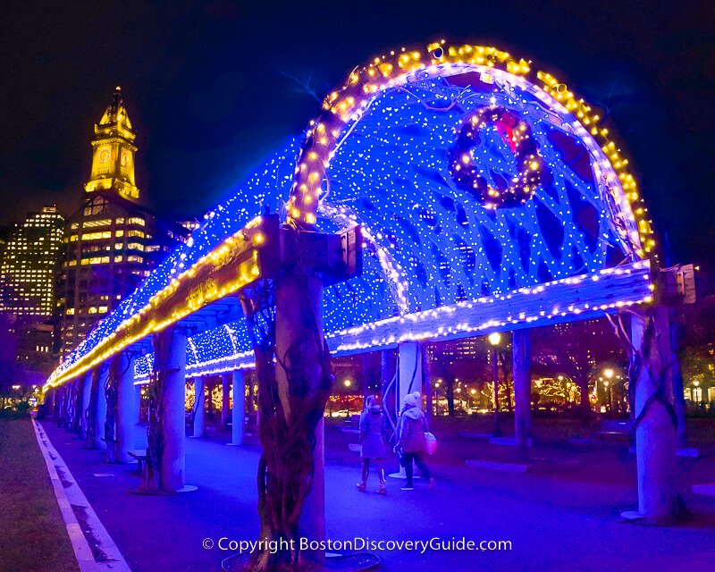 Christmas Lights on Trellis in Columbus Park, Boston