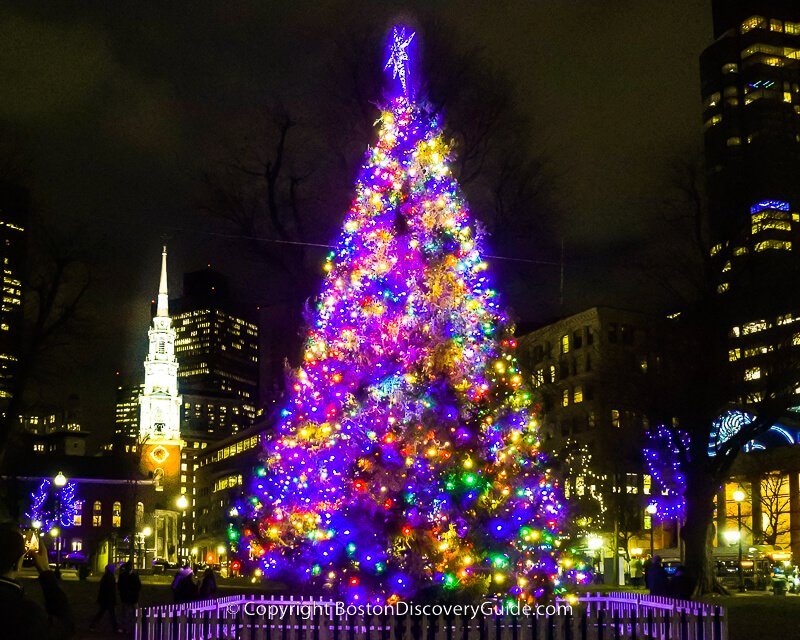 Christmas Tree in Boston Common