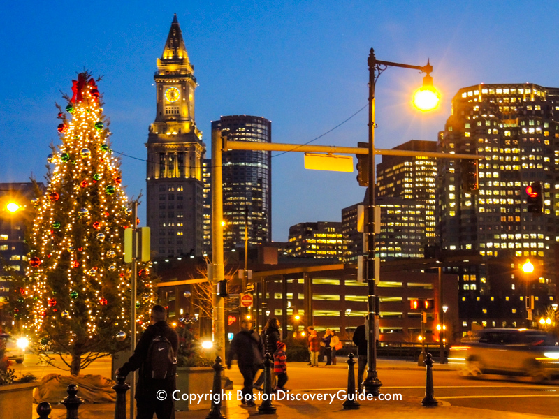 Christmas Lights on Trellis in Columbus Park, Boston