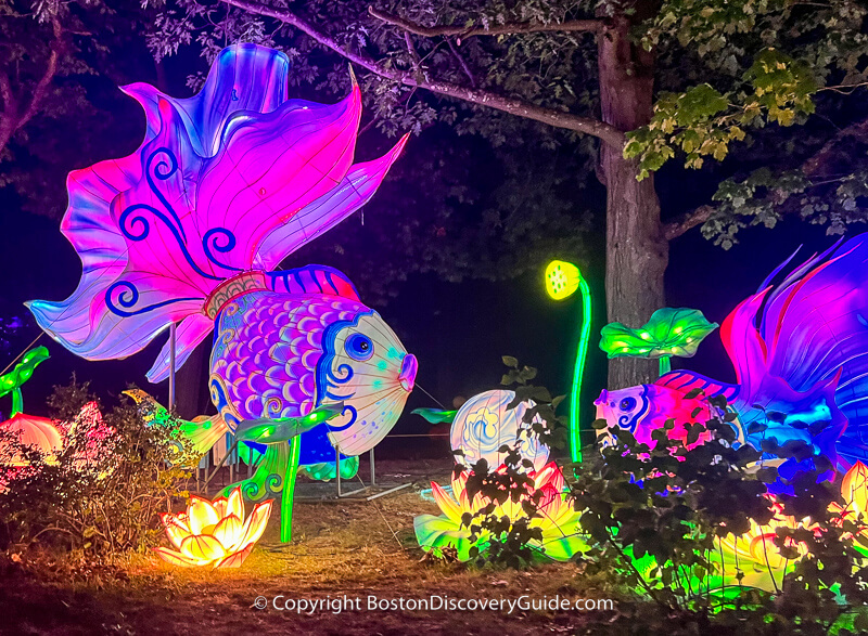 Celestial lights at Franklin Park Zoo's Boston Lights festival