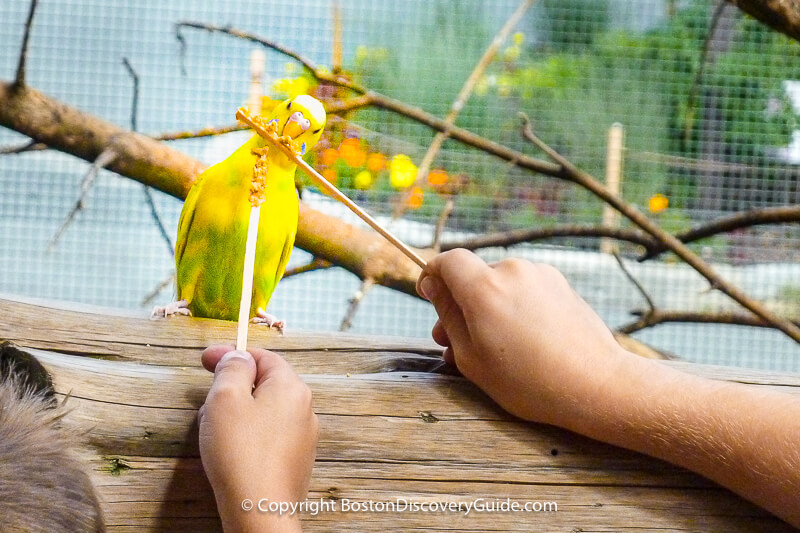 Inside Bird's World at the Boston Zoo