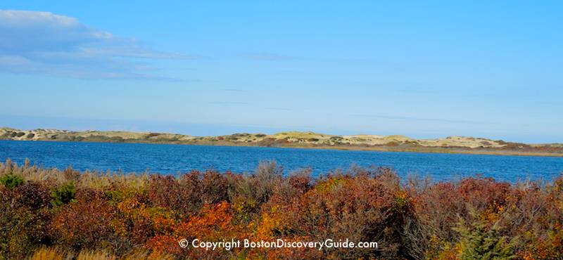 Fall Foliage cruise from Boston