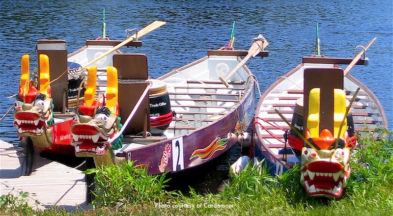 Dragon boats Dragon boats