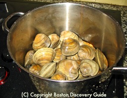 Steam clams in large pot / New England Clam Chowder Recipe - www.boston-discovery-guide.com